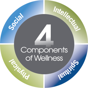 four components of wellness senior living